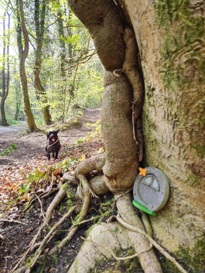 Old Road Cottage Pet Friendly Outdoors Beaches Neath Exterior foto